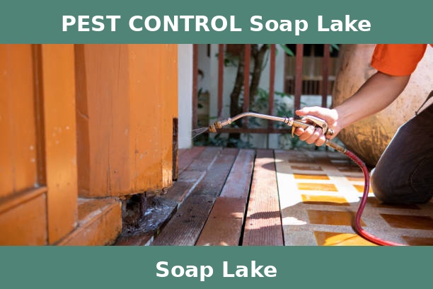 PEST CONTROL Soap Lake